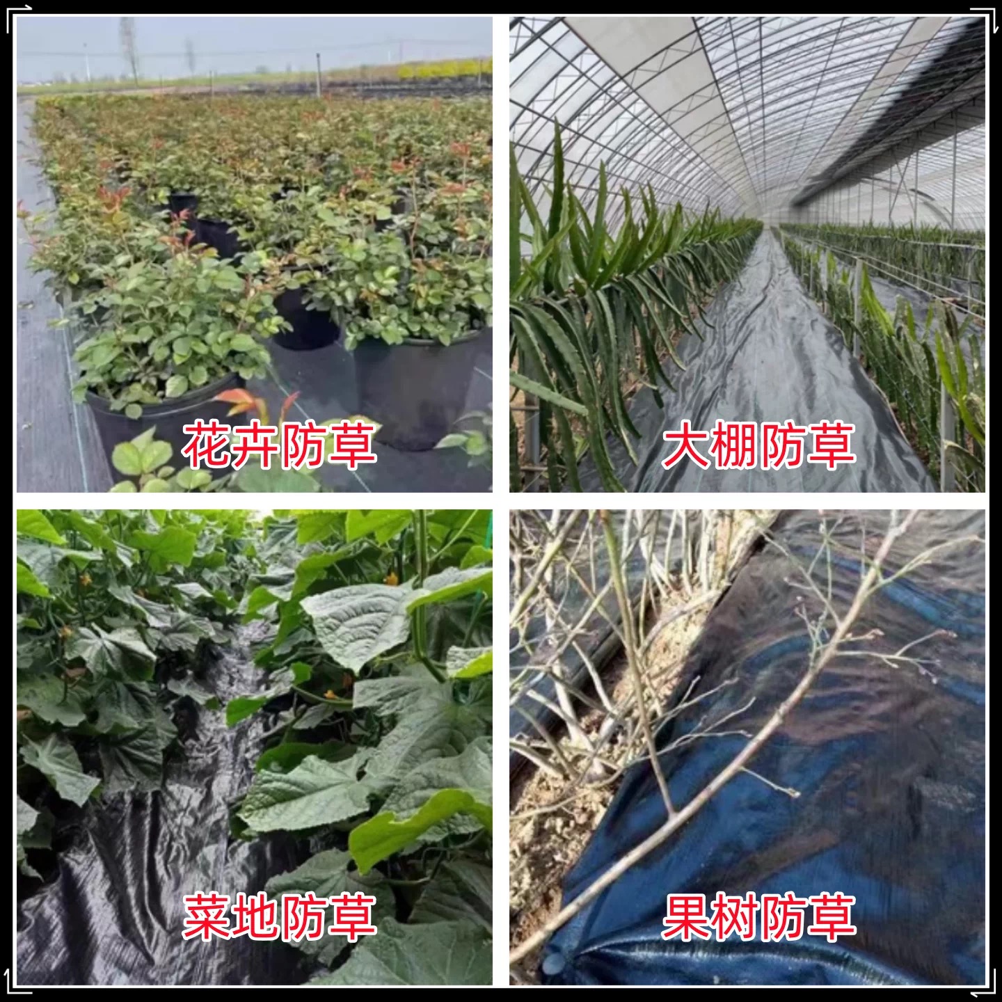 资阳市农用薄膜防草布 - 方案