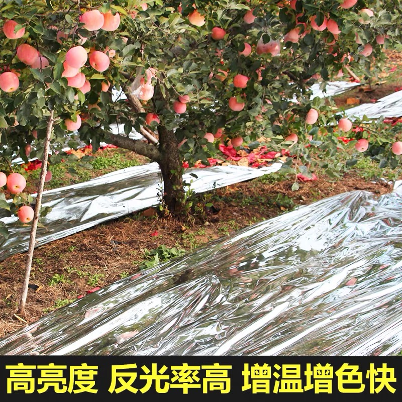 资阳市农用薄膜果树反光膜 - 推荐